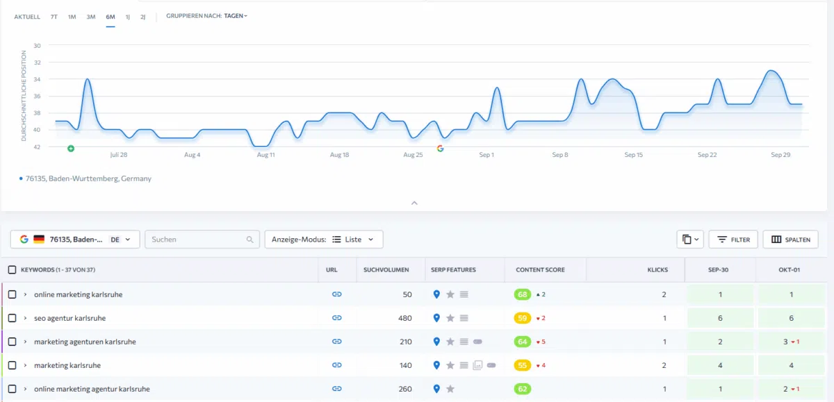 - Beispiel Seo Monitoring Monitoring