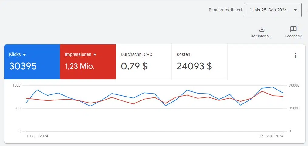 Google Ads Kostenübersicht