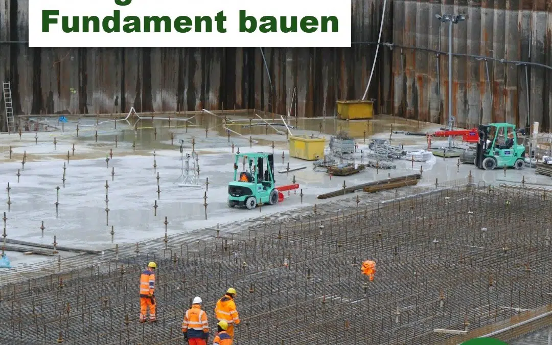 SEO Basics 2026: Das gesunde Fundament für Google und KI-Suche