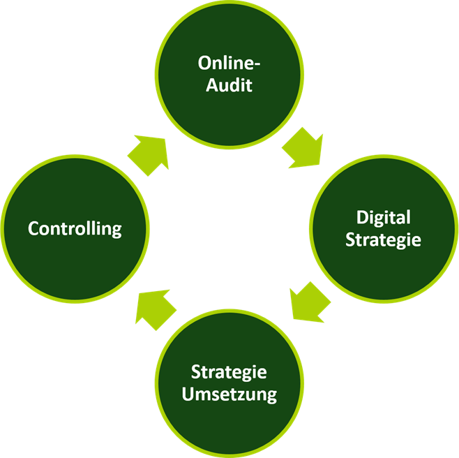  Online Audit - Digital Strategie - Umsetzung - Controlling - Prozess